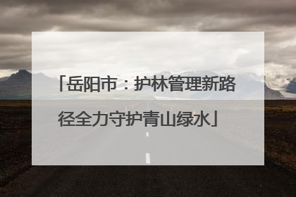岳阳市：护林管理新路径全力守护青山绿水