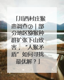 川西村庄猴患调查②｜部分地区猕猴种群扩张下山致害，“人猴矛盾”如何寻找最优解？