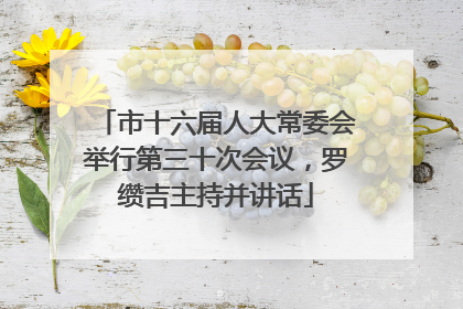市十六届人大常委会举行第三十次会议，罗缵吉主持并讲话