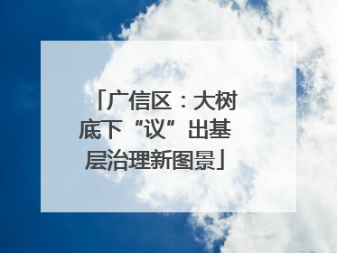 广信区：大树底下“议”出基层治理新图景