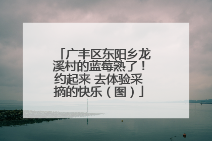 广丰区东阳乡龙溪村的蓝莓熟了！约起来 去体验采摘的快乐（图）