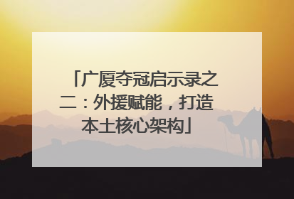 广厦夺冠启示录之二：外援赋能，打造本土核心架构