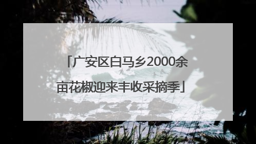 广安区白马乡2000余亩花椒迎来丰收采摘季