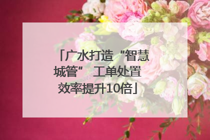 广水打造“智慧城管” 工单处置效率提升10倍