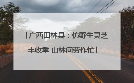 广西田林县：仿野生灵芝丰收季 山林间劳作忙