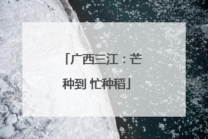 广西三江：芒种到 忙种稻