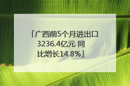 广西前5个月进出口3236.4亿元 同比增长14.8%