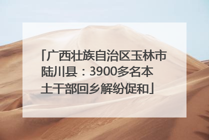 广西壮族自治区玉林市陆川县：3900多名本土干部回乡解纷促和