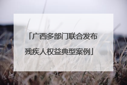 广西多部门联合发布残疾人权益典型案例