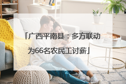广西平南县：多方联动为66名农民工讨薪