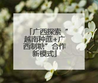 广西探索“越南种蔗+广西制糖”合作新模式