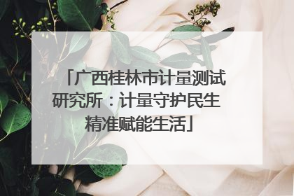 广西桂林市计量测试研究所：计量守护民生 精准赋能生活