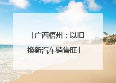 广西梧州：以旧换新汽车销售旺