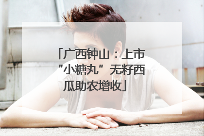 广西钟山：上市“小糖丸”无籽西瓜助农增收