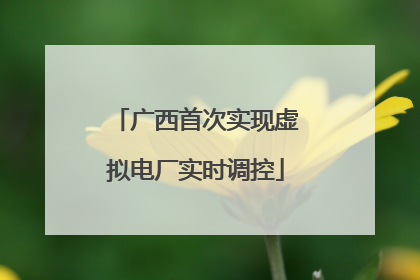 广西首次实现虚拟电厂实时调控