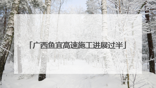 广西鱼宜高速施工进展过半