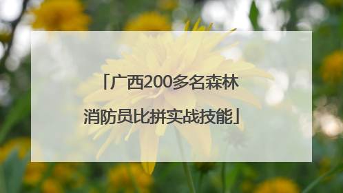 广西200多名森林消防员比拼实战技能