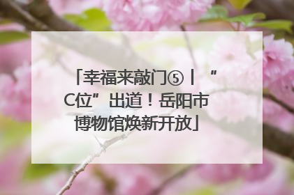 幸福来敲门⑤丨“C位”出道！岳阳市博物馆焕新开放