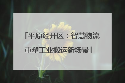 平原经开区：智慧物流重塑工业搬运新场景