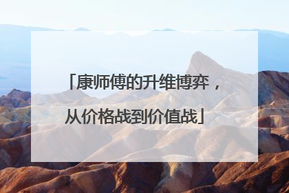 康师傅的升维博弈，从价格战到价值战