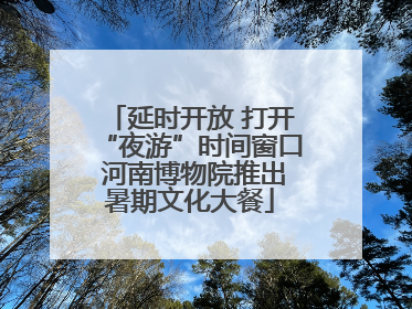 延时开放 打开“夜游”时间窗口 河南博物院推出暑期文化大餐
