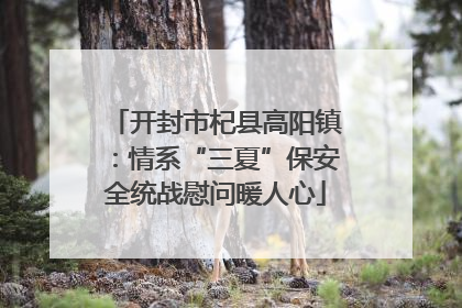 开封市杞县高阳镇：情系“三夏”保安全统战慰问暖人心