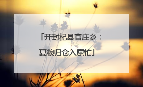 开封杞县官庄乡：夏粮归仓入廪忙