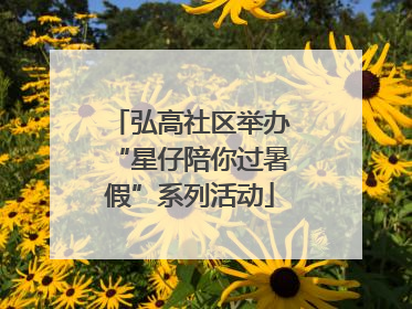弘高社区举办“星仔陪你过暑假”系列活动