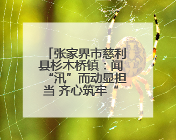 张家界市慈利县杉木桥镇：闻“汛”而动显担当 齐心筑牢“安全堤”