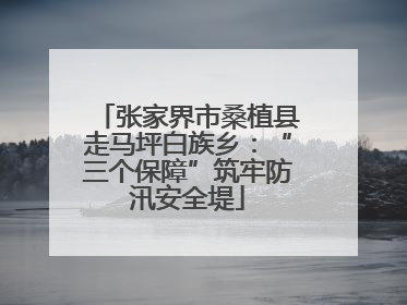 张家界市桑植县走马坪白族乡：“三个保障”筑牢防汛安全堤