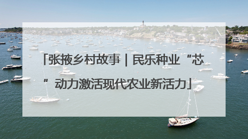 张掖乡村故事｜民乐种业“芯”动力激活现代农业新活力