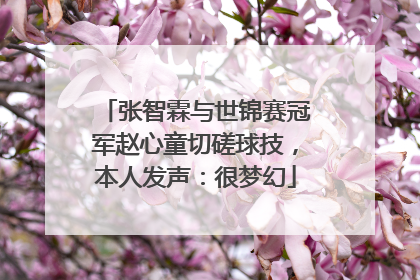 张智霖与世锦赛冠军赵心童切磋球技，本人发声：很梦幻