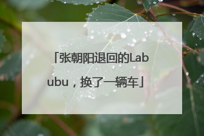 张朝阳退回的Labubu，换了一辆车