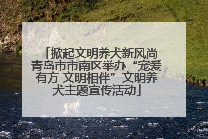 掀起文明养犬新风尚 青岛市市南区举办“宠爱有方 文明相伴”文明养犬主题宣传活动