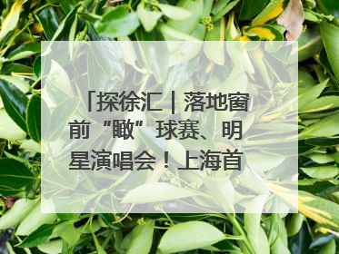 探徐汇｜落地窗前“瞰”球赛、明星演唱会！上海首家体育特色高端酒店亮相
