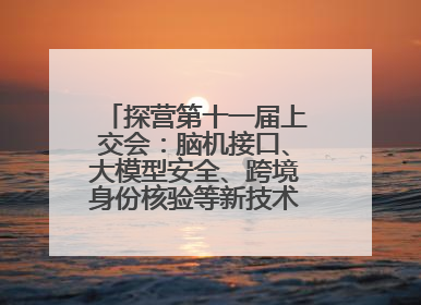 探营第十一届上交会：脑机接口、大模型安全、跨境身份核验等新技术将悉数亮相