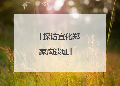 探访宣化郑家沟遗址
