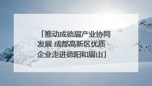 推动成德眉产业协同发展 成都高新区优质企业走进德阳和眉山