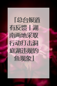总台报道有反馈丨湖南两地采取行动打击洞庭湖违规钓鱼现象