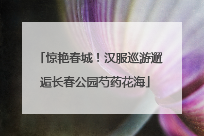 惊艳春城！汉服巡游邂逅长春公园芍药花海