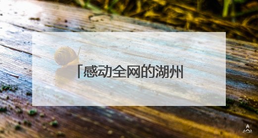 感动全网的湖州面包店传来新消息：房东也来支持了，决定不涨租