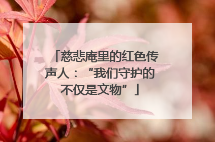 慈悲庵里的红色传声人：“我们守护的不仅是文物”