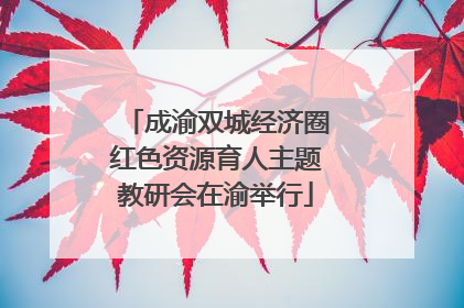 成渝双城经济圈红色资源育人主题教研会在渝举行