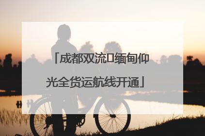 成都双流⇌缅甸仰光全货运航线开通
