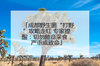 成都野生菌“打野”攻略走红 专家提醒：切勿随意采食，严重或致命