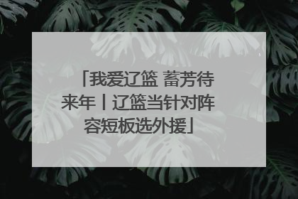 我爱辽篮 蓄芳待来年丨辽篮当针对阵容短板选外援
