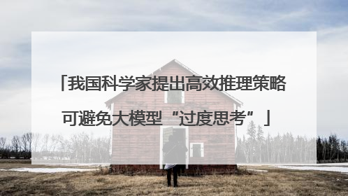 我国科学家提出高效推理策略 可避免大模型“过度思考”