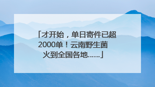 才开始，单日寄件已超2000单！云南野生菌火到全国各地……