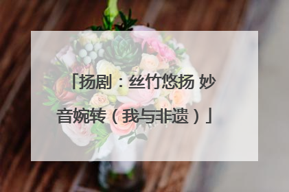 扬剧：丝竹悠扬 妙音婉转（我与非遗）
