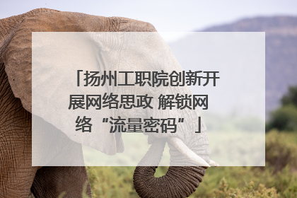 扬州工职院创新开展网络思政 解锁网络“流量密码”